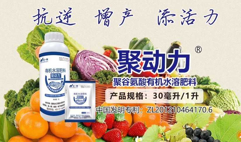 肥料檢出植物生長調節劑最高可處20倍罰款，聚谷氨酸或成安全增效新選擇